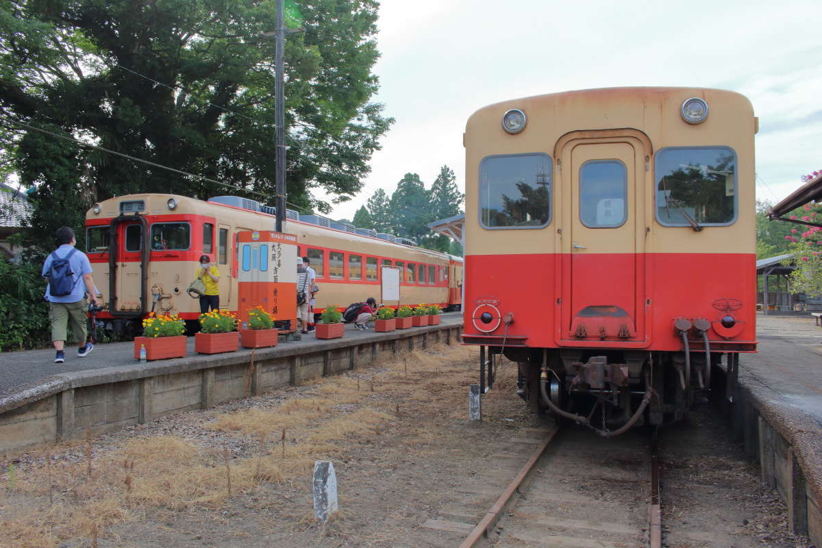 ディーゼルカーが走る小湊鉄道といすみ鉄道（上総中野駅）