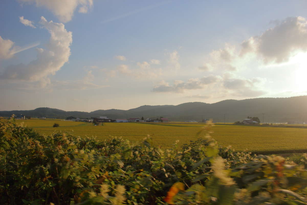 塩狩峠を超え、蘭留駅を過ぎ、上川盆地へ