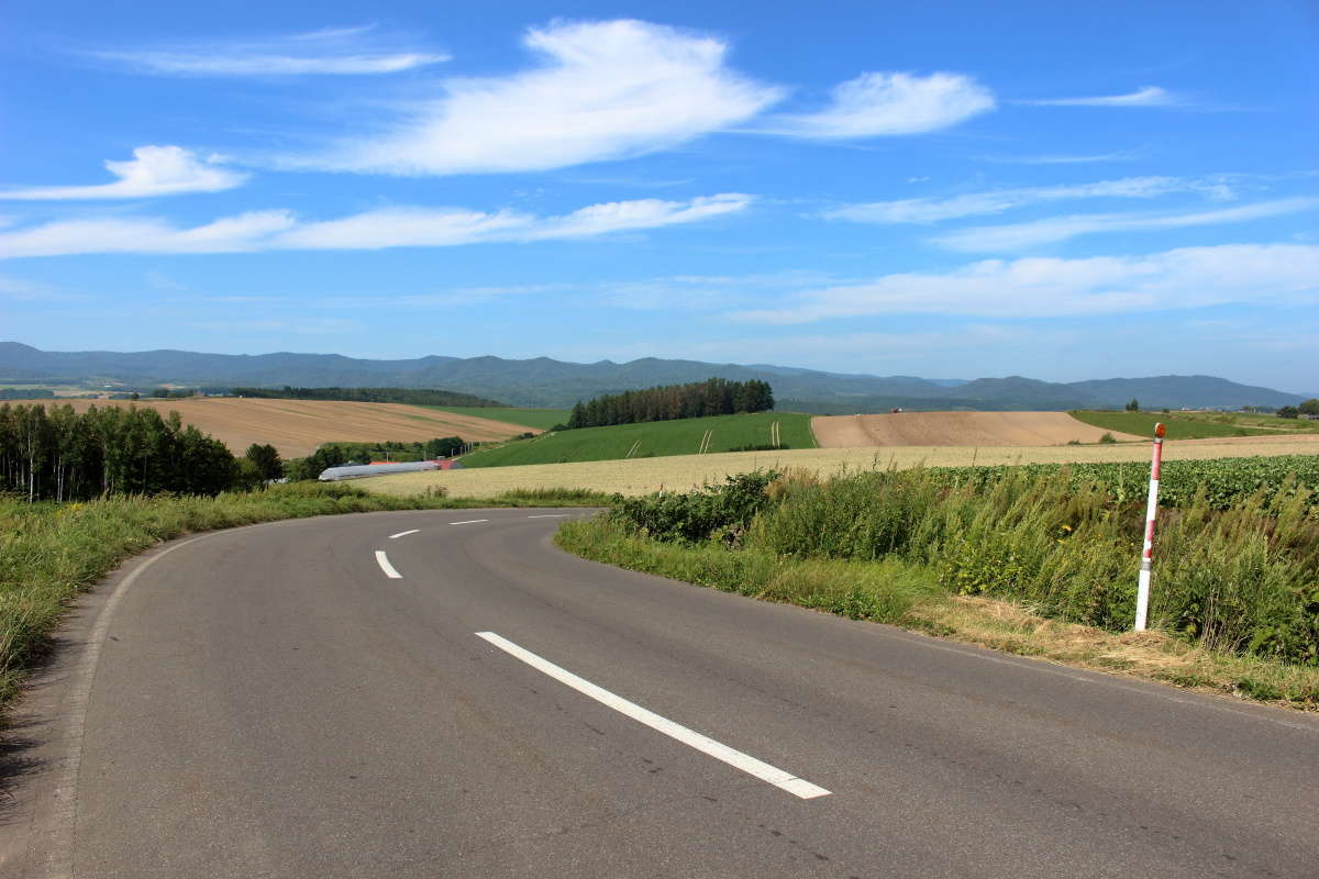 雄大な丘の風景を眺めながらのサイクリング