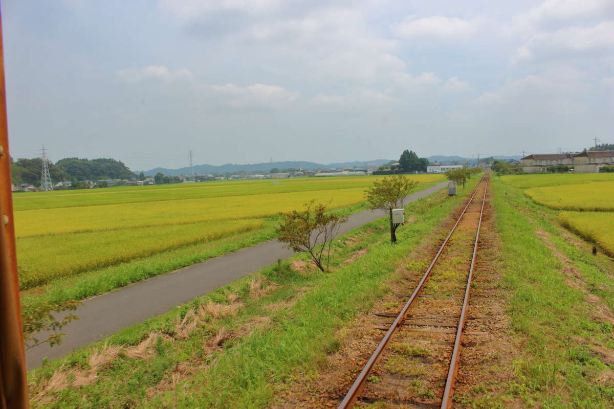 いすみ鉄道の車窓、田園風景が広がります