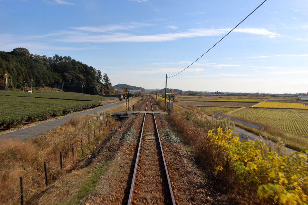 田んぼだけでなく茶畑が広がる静岡らしい車窓