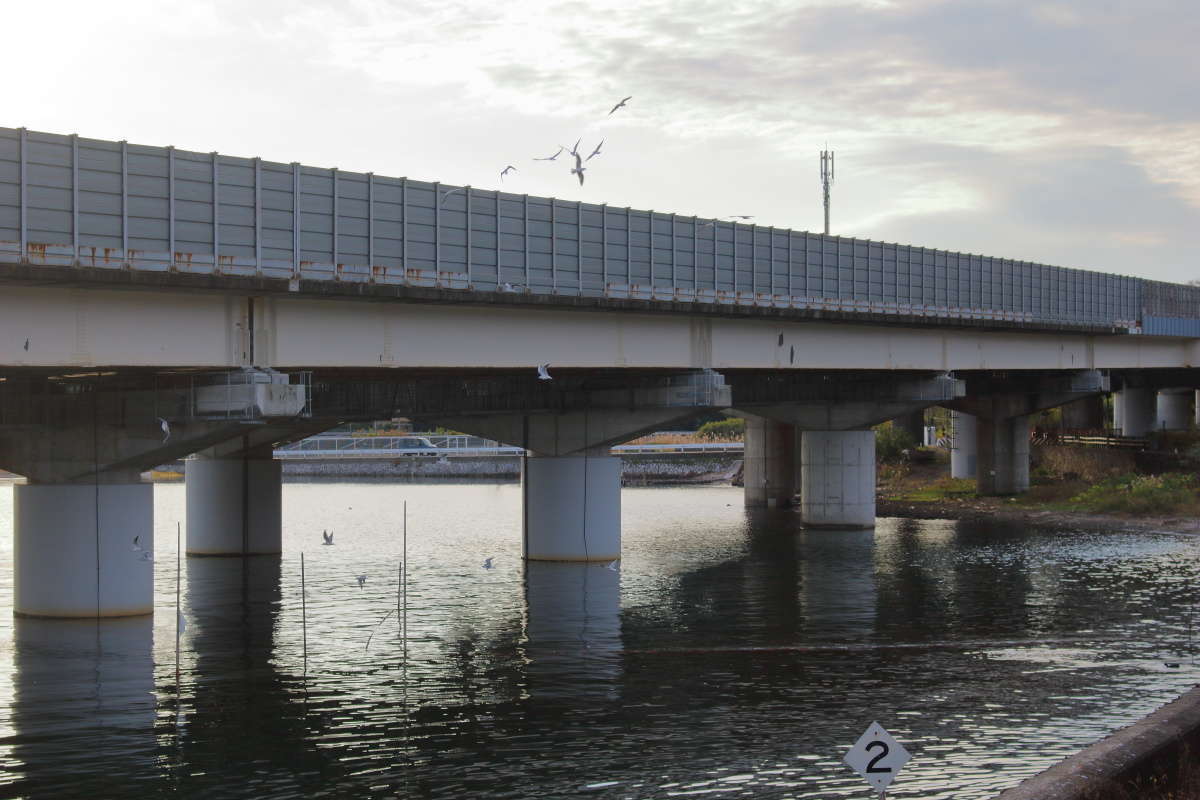 ゆりかもめが集まる駅として有名な浜名湖佐久米駅