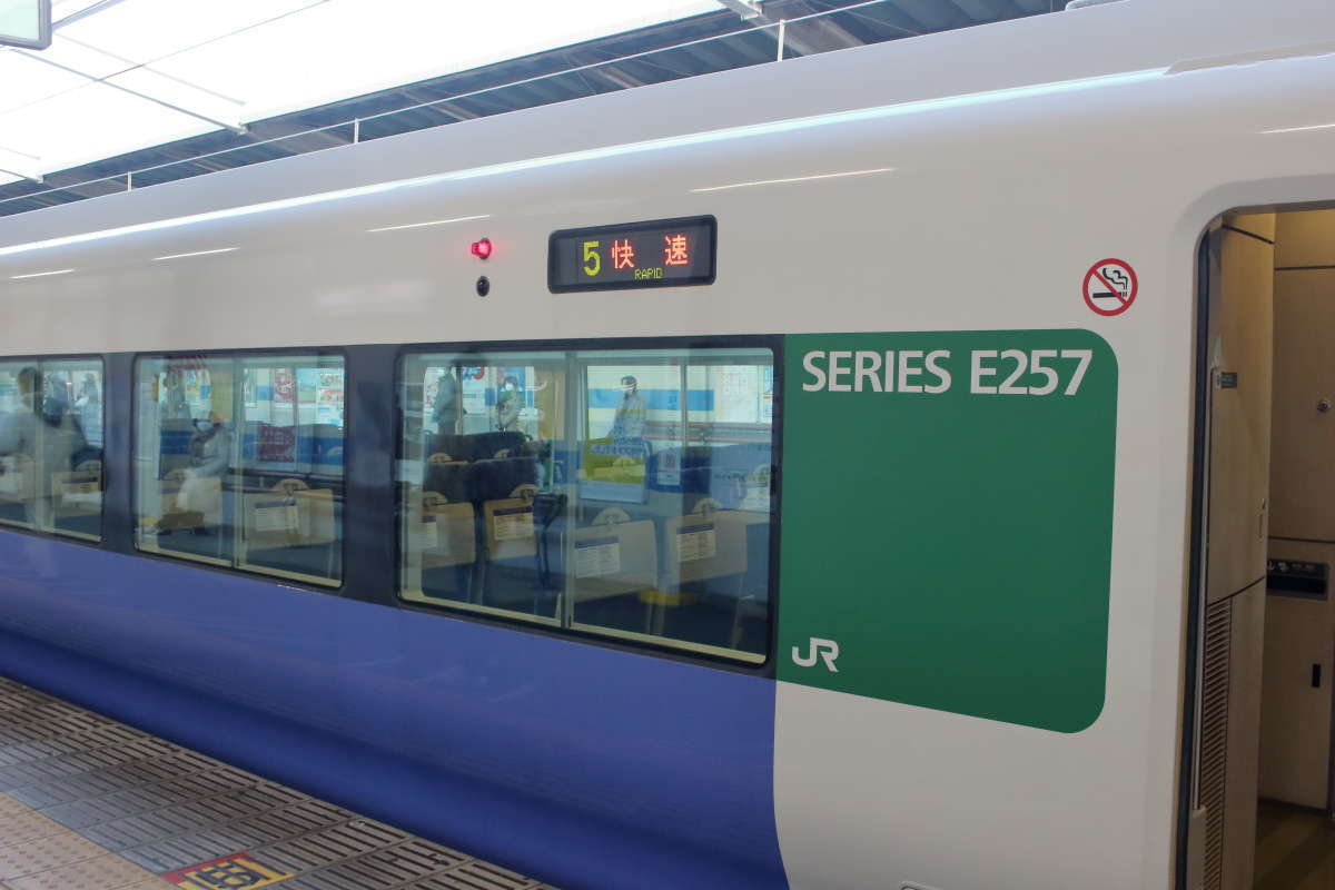 「ホリデー快速鎌倉号」はE257系で運転、側面の行先表示は「快速」のみ