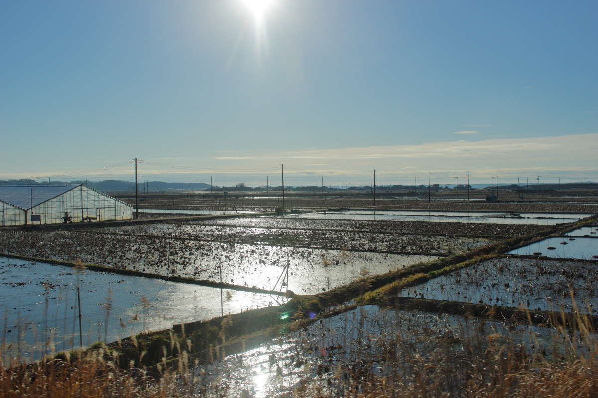 土浦から先は田園風景が広がるエリアへ