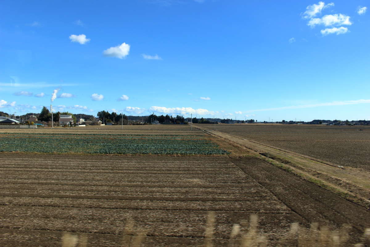 「ひたち3号」は田んぼが広がる田園風景の中を飛ばしていきます