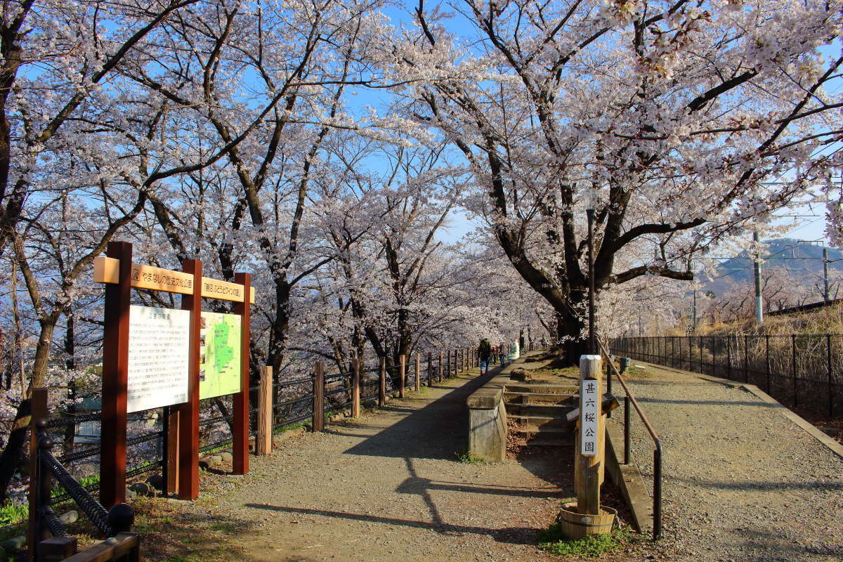 勝沼ぶどう郷駅前にある桜の名所「甚六桜公園」