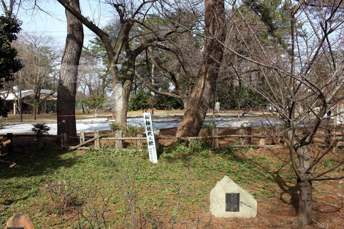 桜の名所、芦野公園駅に到着