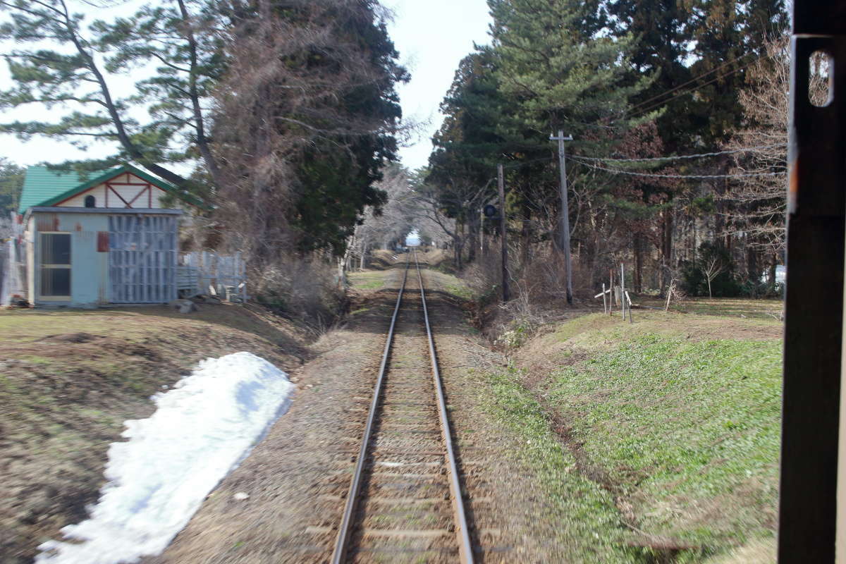 4月下旬には桜のトンネルになる芦野公園駅付近の線路