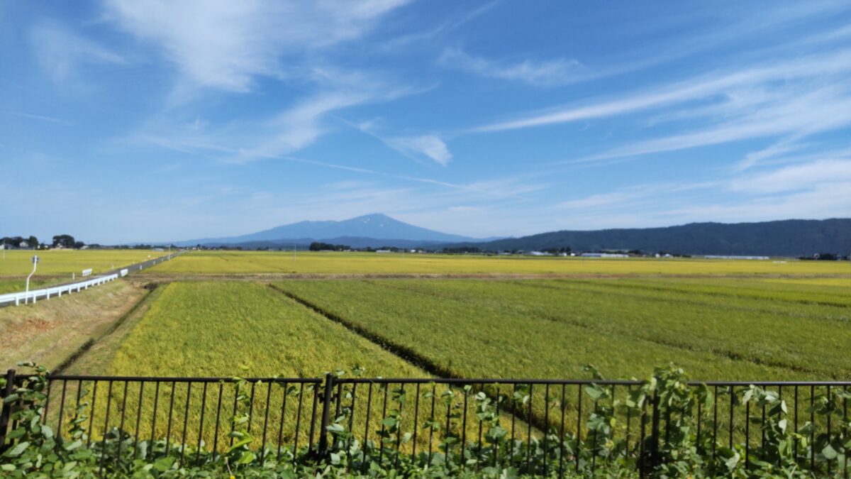 田園風景の中を進む陸羽西線代行バスの車窓