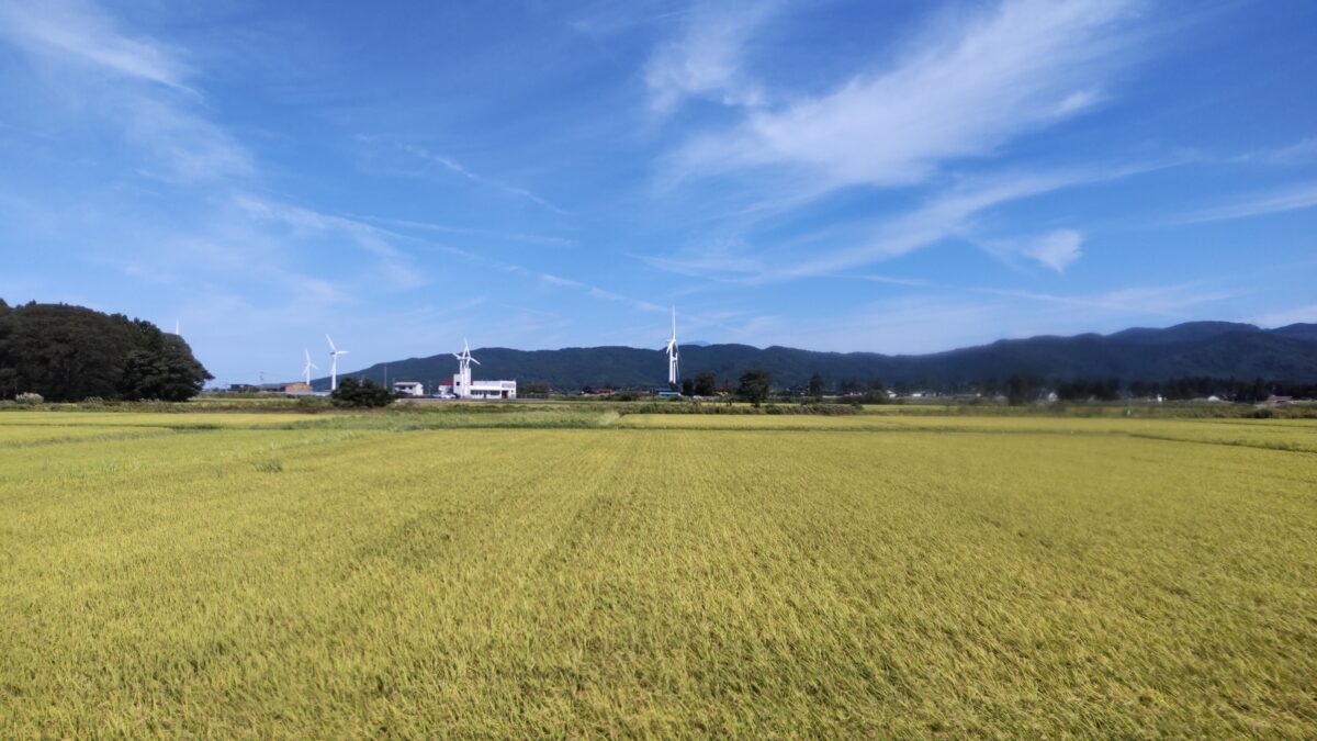 田園風景と風車の車窓