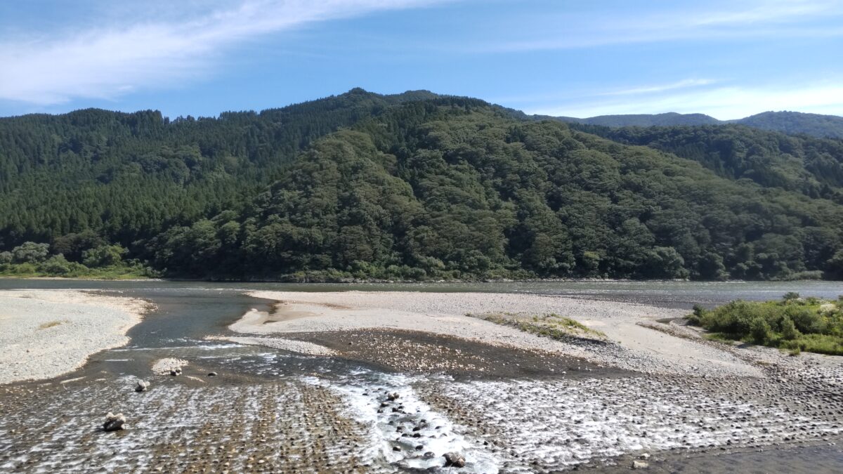 陸羽西線代行バスからの最上川の車窓