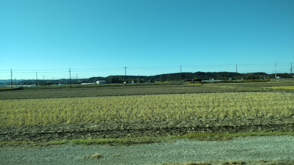 田園風景が広がる久留里線の車窓