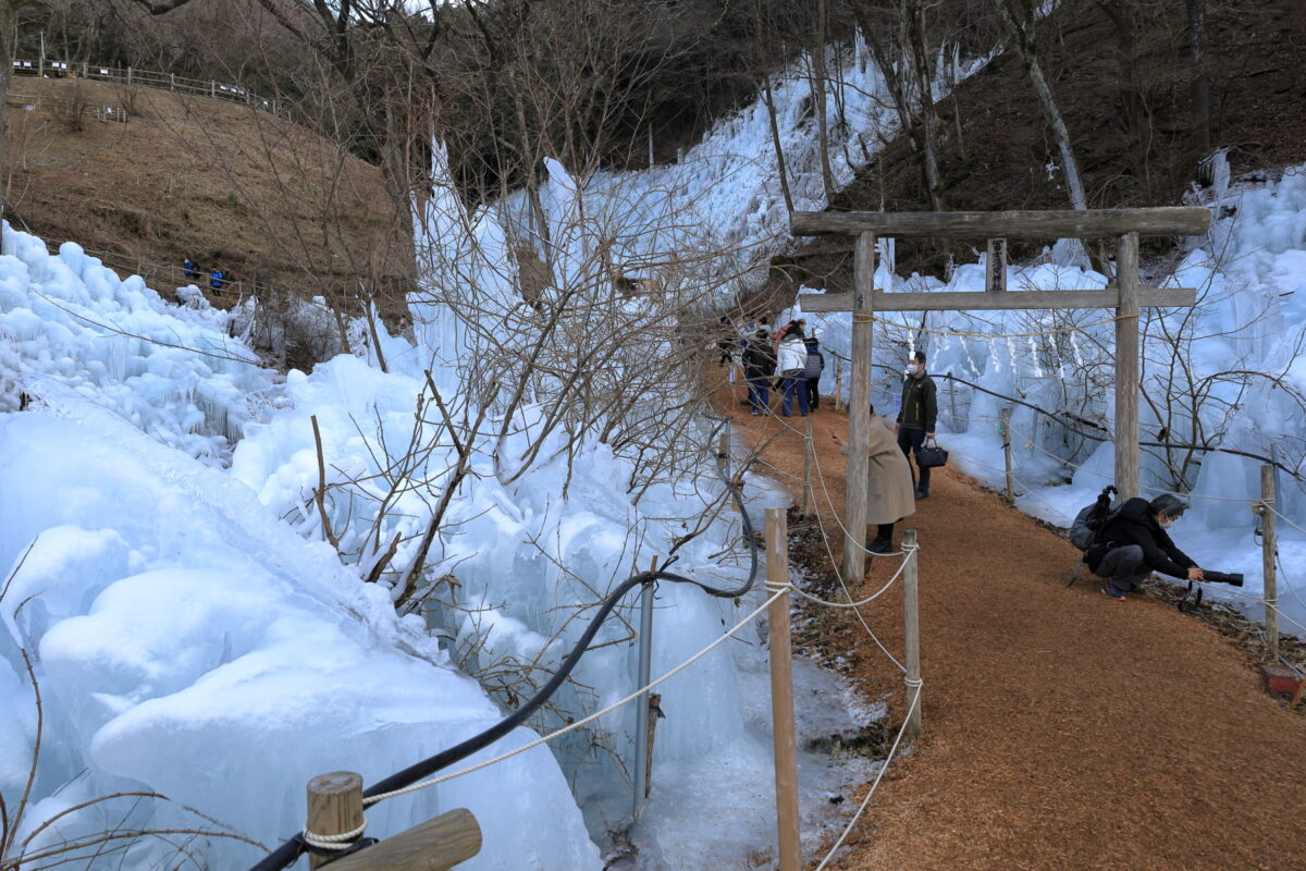 あしがくぼの氷柱の会場内の通路と富士浅間神社の鳥居
