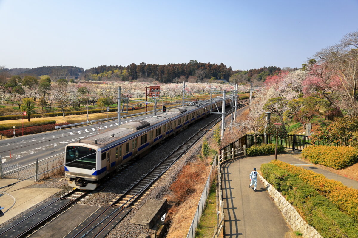 田鶴鳴梅林に向かう「偕楽橋」からの眺め