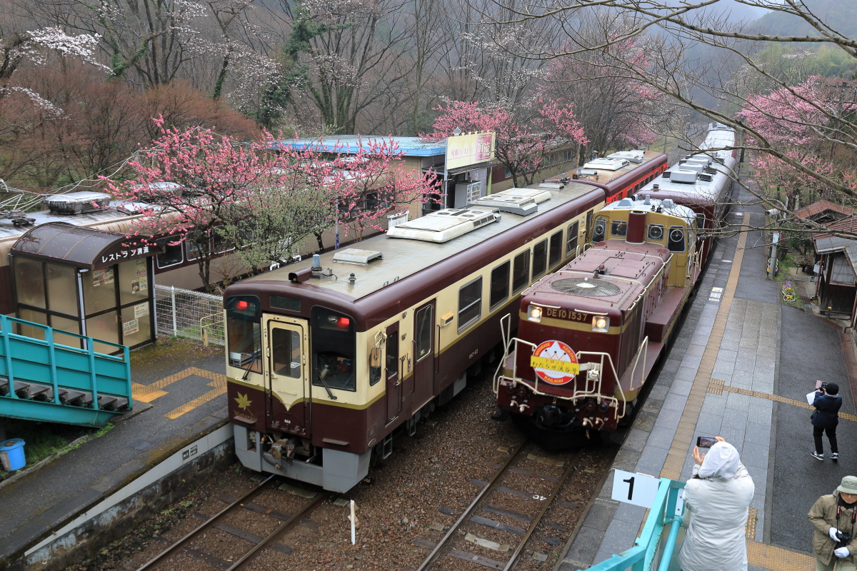 神戸駅での「トロッコわたらせ渓谷号」と普通列車の行き違い