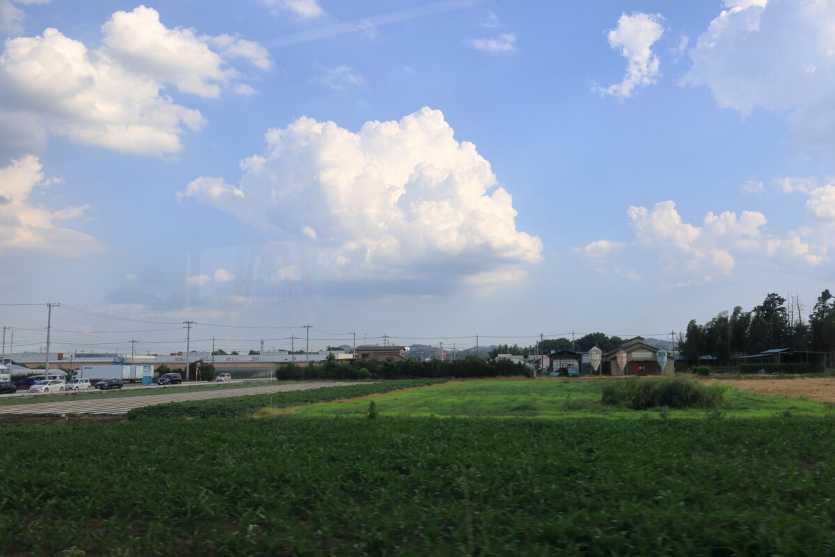 夏雲が浮かぶ関東平野を走る「SLパレオエクスプレス」の車窓