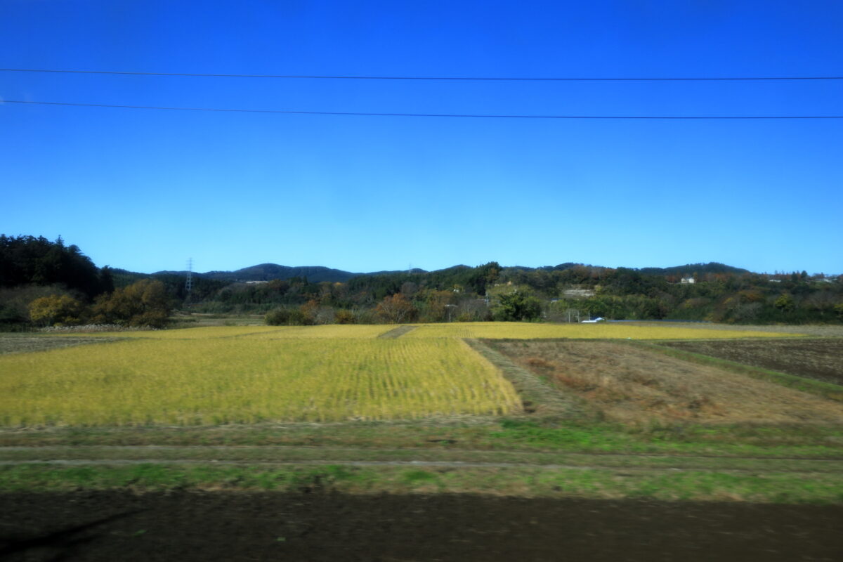 田園風景が広がる久留里線の車窓