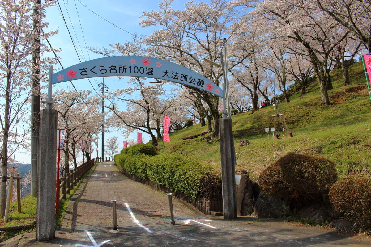 大法師公園の入口、緩やかな坂道は景色と桜を一緒に眺められるスポットが点在します