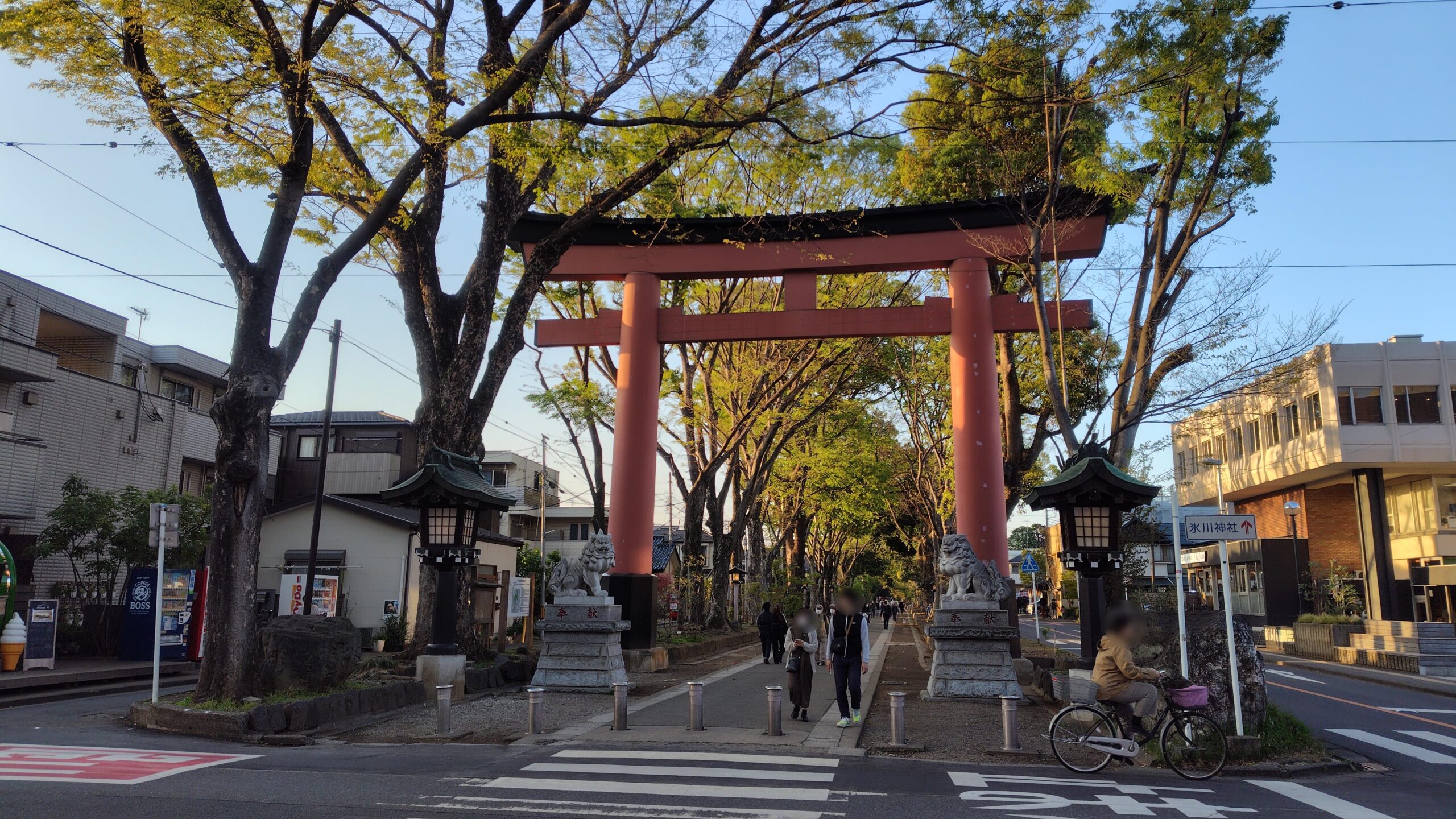 2km以上に続く大宮 氷川神社の参道