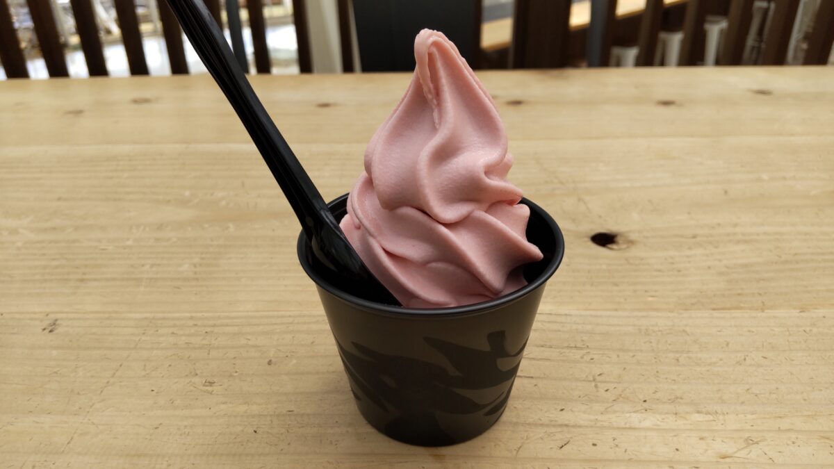 笛吹フルーツ公園内くだもの広場のカフェで購入したイチゴのソフトクリーム