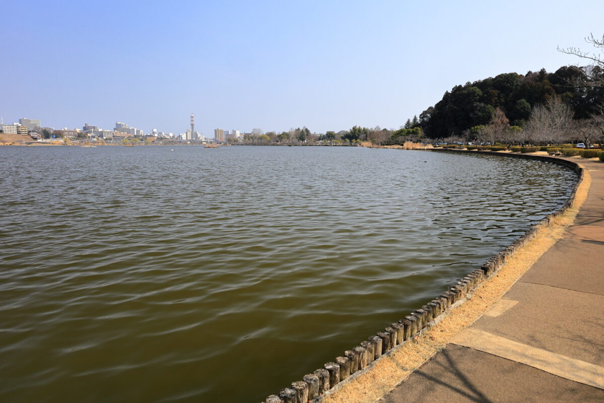 偕楽園の南側に広がる「千波湖」