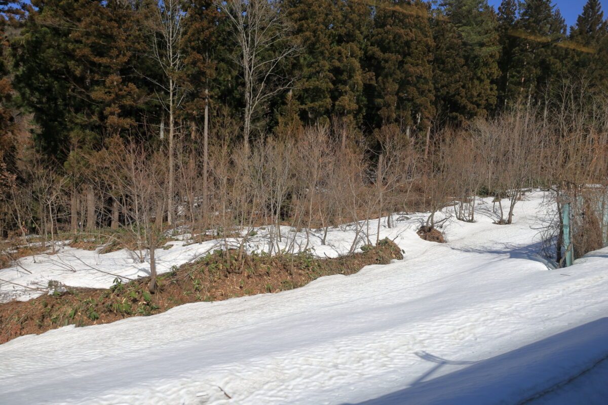 雪融けが進み春を迎えつつある板谷峠の車窓