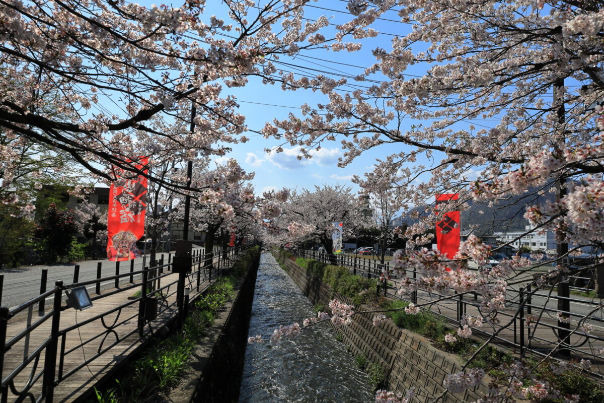 灌漑用水沿いに桜並木が続く「さくら温泉通り」